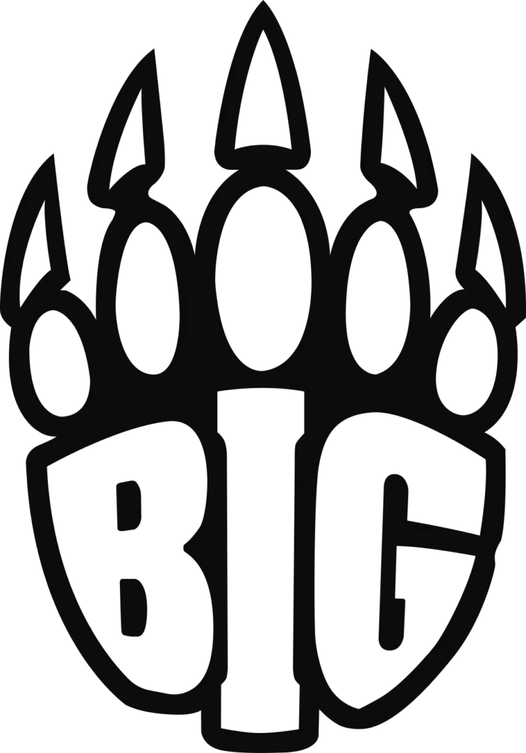 Логотип команды BIG